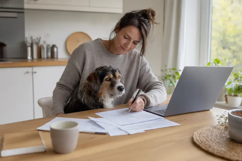 Ein Hallstrom-Hund sitzt ruhig neben seinem Besitzer am Küchentisch, während Versicherungsunterlagen und ein Laptop mit neutraler Vergleichsseite vor ihnen liegen.