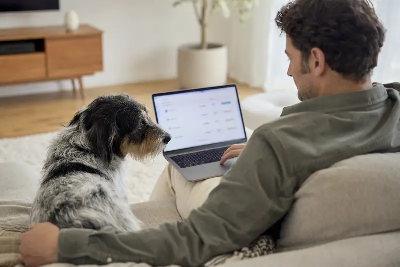 Ein Hundebesitzer sitzt auf dem Sofa mit einem Laptop, während ein Hallstrom-Hund daneben liegt und eine Versicherungsvergleichsseite auf dem Bildschirm zu sehen ist.