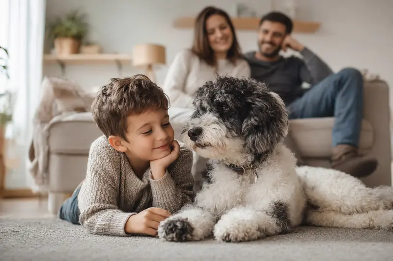 Ein Harlekin-Pudel liegt entspannt neben einem Kind im hellen Wohnzimmer, während die Eltern im Hintergrund stehen – ein vertrauensvolles Motiv für Hundegesundheit und Familienleben.