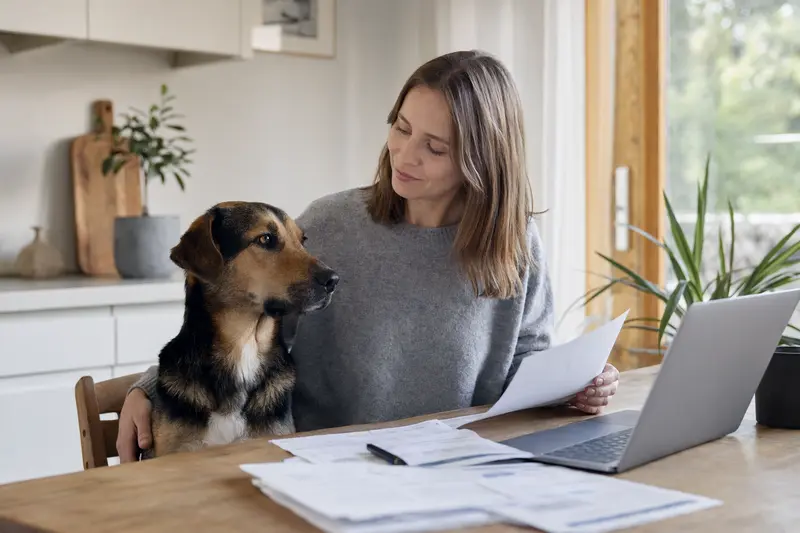 Ein ruhiger Herderhund sitzt neben seinem Besitzer am Küchentisch, während Versicherungsunterlagen und ein Laptop mit Vergleichsseite darauf liegen.