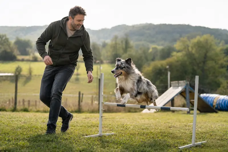 Ein Highland Collie trainiert mit seinem Besitzer auf einem Hundeplatz über eine kleine Hürde und wirkt dabei aufmerksam, sportlich und freudig.