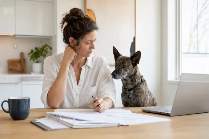 Ein Holländischer Schäferhund sitzt ruhig neben seinem Besitzer am Küchentisch mit Versicherungsunterlagen und einem Laptop.