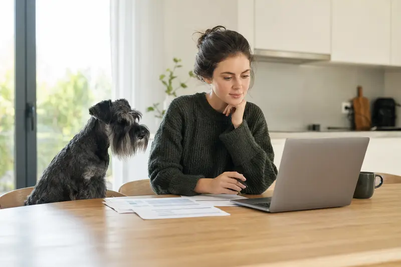 Ein Holländischer Schnauzer sitzt entspannt neben seinem Besitzer am Küchentisch mit Versicherungsunterlagen und Laptop.