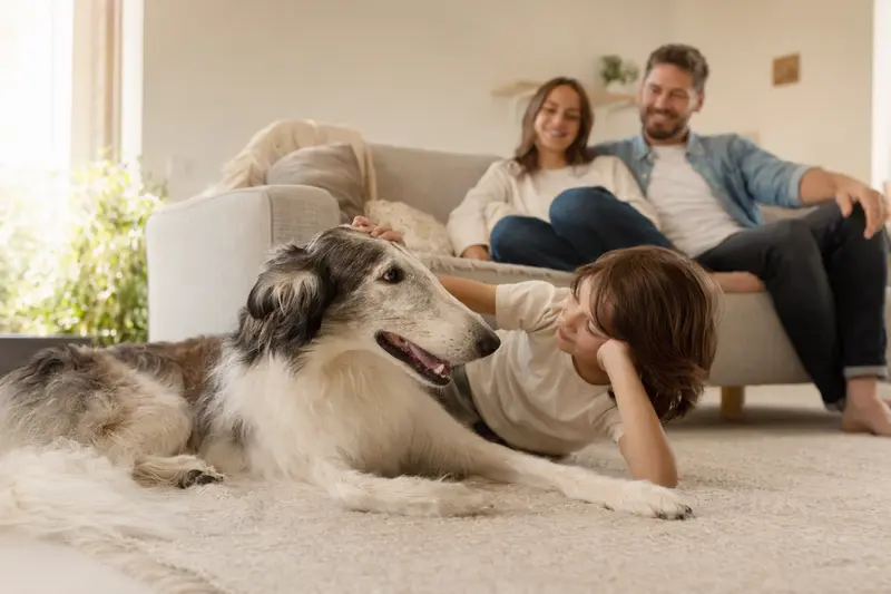 Ein Hortaya Borzaya Hund liegt entspannt neben einem Kind im hellen Wohnzimmer, während die Eltern im Hintergrund stehen.