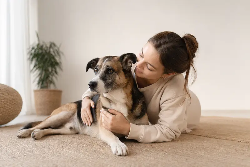 Ein aufmerksamer Horty Hund steht in natürlicher Haltung vor hellem Hintergrund, als realistisches Tierportrait mit weichem Licht und klaren Details.