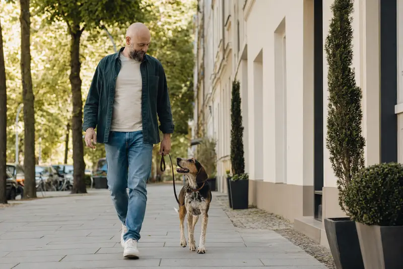 Ein Hund läuft entspannt an der Leine neben seinem Besitzer durch eine moderne Stadtstraße.