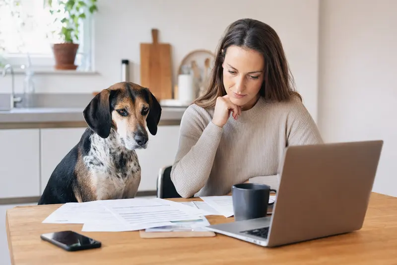 Ein ruhiger Hygenlaufhund sitzt neben seinem Besitzer am Küchentisch, während Versicherungsunterlagen und ein Laptop mit einer Vergleichsseite auf dem Tisch liegen.