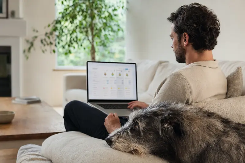 Ein Besitzer sitzt mit einem Laptop auf dem Sofa, während ein Irischer Wolfshund daneben liegt und eine neutrale Versicherungsvergleichsseite auf dem Bildschirm sichtbar ist.