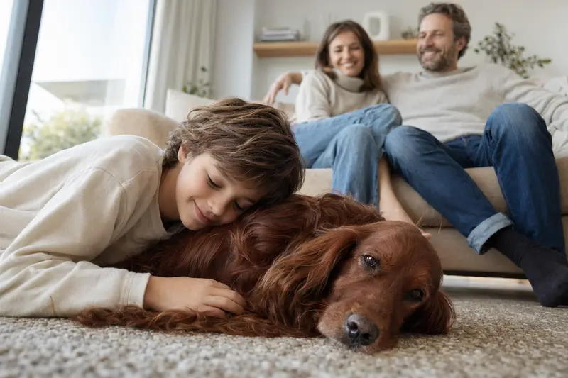 Ein freundlicher Irish Setter liegt entspannt neben einem Kind im Wohnzimmer, während die Eltern im Hintergrund eine sichere Familienatmosphäre schaffen.