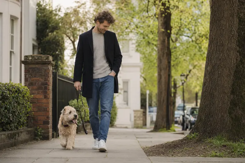 Ein Irish Soft-Coated Wheaten Terrier läuft an der Leine mit seinem Besitzer durch eine moderne Stadtstraße.
