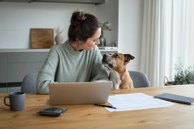 Ein Irish Staffordshire Terrier sitzt ruhig neben seinem Besitzer am Küchentisch, wo Versicherungsunterlagen und ein Laptop liegen.