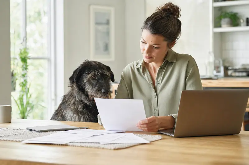 Ein Istrianer Schäferhund sitzt ruhig neben seinem Besitzer am Küchentisch mit Versicherungsunterlagen und einem Laptop zu einer Tierversicherung.