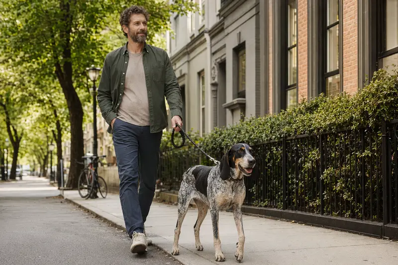 Ein Italienischer Laufhund läuft an der Leine mit seinem Besitzer durch eine freundliche moderne Stadtstraße.