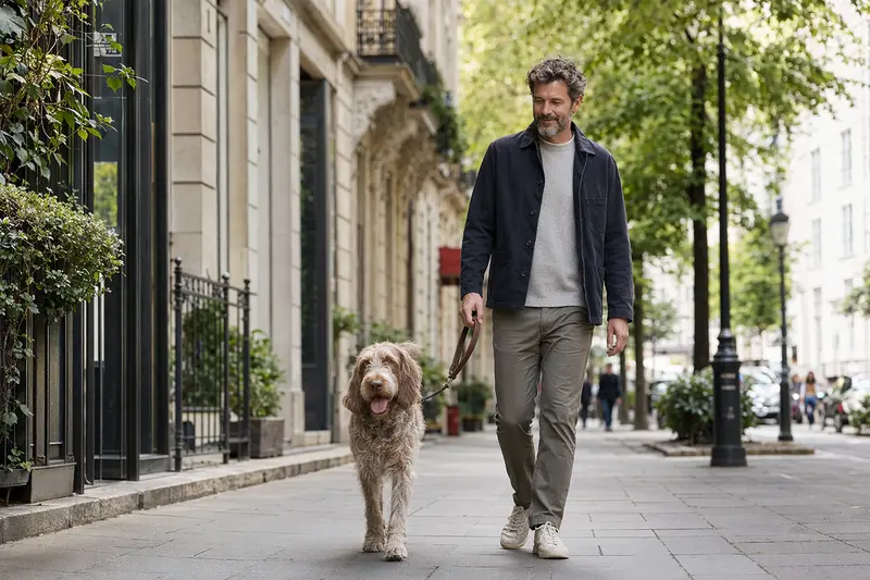Italienischer Spinone läuft an der Leine mit seinem Besitzer durch eine moderne Stadtstraße im Alltag.