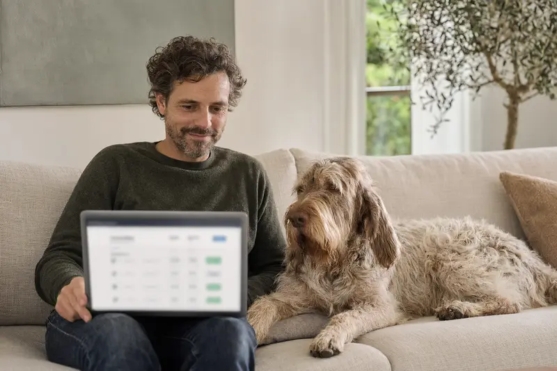 Besitzer mit Laptop auf dem Sofa neben einem Italienischen Spinone Hund in einer ruhigen Wohnung, Bildschirm zeigt Versicherungsvergleich.