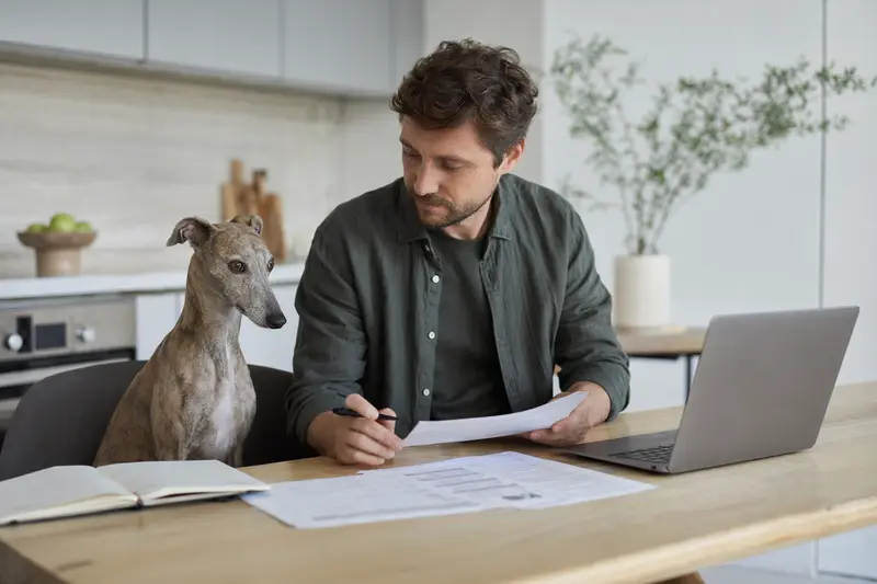 Ein Italienisches Windspiel Hund sitzt entspannt neben seinem Besitzer an einem Küchentisch mit Versicherungsunterlagen und einem Laptop.