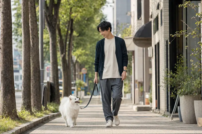 Ein Japan Spitz läuft entspannt an der Leine mit seinem Besitzer durch eine freundliche moderne Stadtstraße.