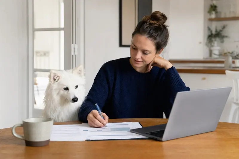 Ein Japan Spitz Hund sitzt friedlich neben seinem Besitzer am Küchentisch mit Versicherungsunterlagen und einem Laptop.