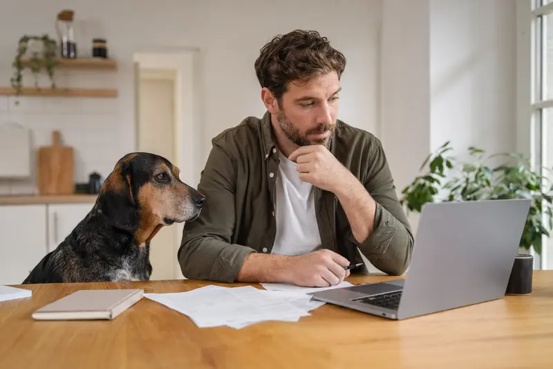 Ein Jura Laufhund sitzt ruhig neben seinem Besitzer am Küchentisch mit Versicherungsunterlagen und einem Laptop.