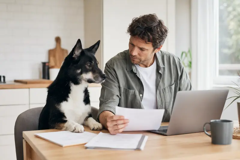 Ein Karelischer Bärenhund sitzt ruhig neben seinem Besitzer am Küchentisch, während Versicherungsunterlagen und ein Laptop auf dem Tisch liegen.