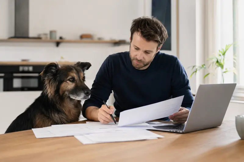 Ein ruhiger Karst Schäferhund sitzt neben seinem Besitzer am Küchentisch, auf dem Versicherungsunterlagen und ein Laptop liegen.