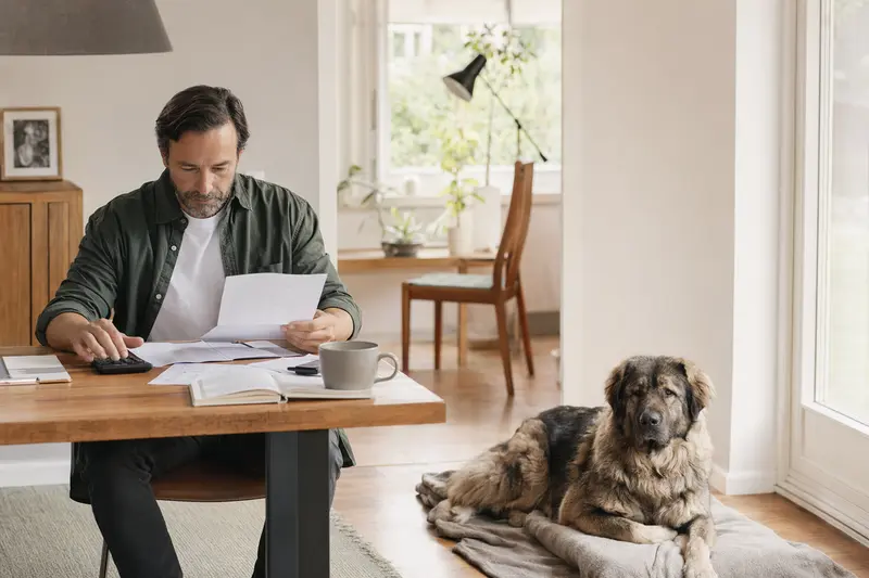 Ein Hundehalter sitzt mit einer Tierarztrechnung am Tisch, während ein entspannter Kaukasischer Schäferhund ruhig auf einer Decke liegt.