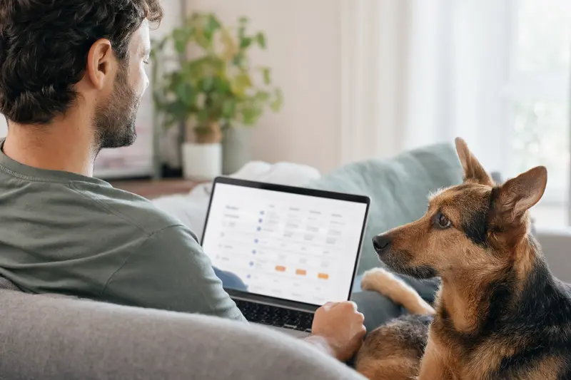 Ein Hundebesitzer sitzt mit einem Laptop auf dem Sofa, während ein Kintamani Hund daneben liegt und eine neutrale Versicherungsvergleichs-Oberfläche auf dem Bildschirm zeigt.