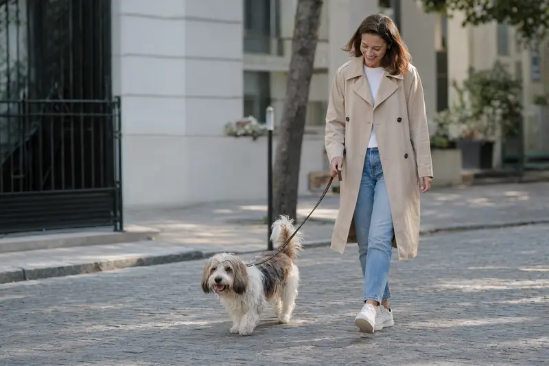 Ein kleiner Basset Griffon Vendéen läuft an der Leine mit seinem Besitzer durch eine moderne Stadtstraße.