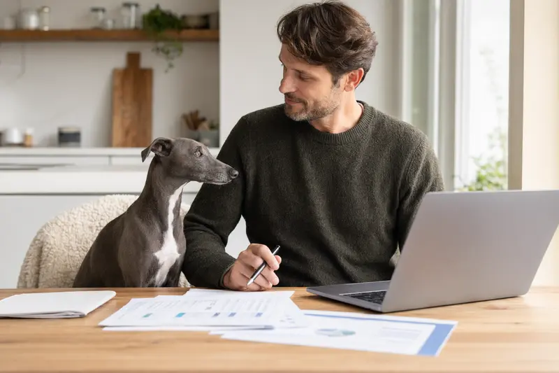 Ein Kleiner Englischer Windhund sitzt ruhig neben seinem Besitzer am Küchentisch mit Versicherungsunterlagen und einem Laptop auf einer neutralen Vergleichsseite.