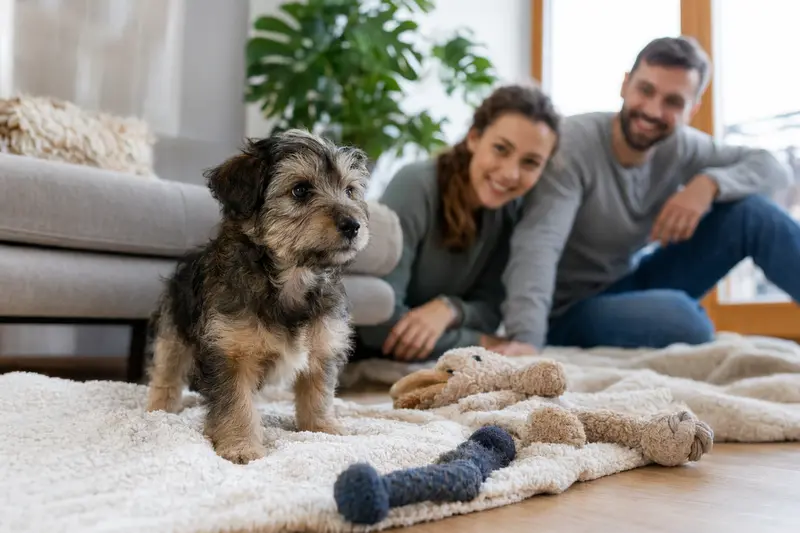 Ein junger Kobe-Terrier Welpe erkundet neugierig sein neues Zuhause mit weicher Decke und Spielzeug, während eine liebevolle Familie im Hintergrund zu sehen ist.