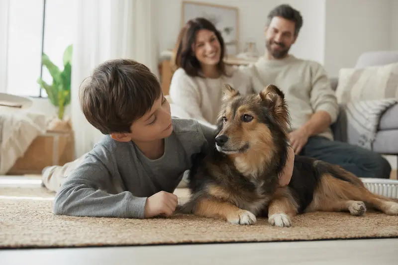 Ein freundlicher Kochi-ken Hund liegt entspannt neben einem Kind im hellen Wohnzimmer einer Familie.