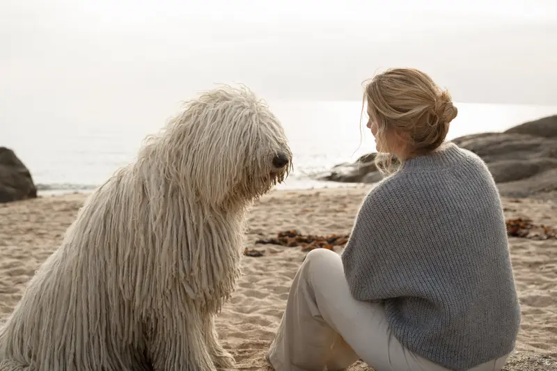 Ein Komondor Hund steht aufmerksam vor hellem Hintergrund und zeigt die typische Fellstruktur der Rasse in einem realistischen Tierportrait.