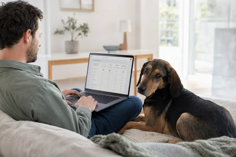 Ein Hund sitzt neben seinem Besitzer auf dem Sofa, während dieser am Laptop einen Versicherungsvergleich durchführt.