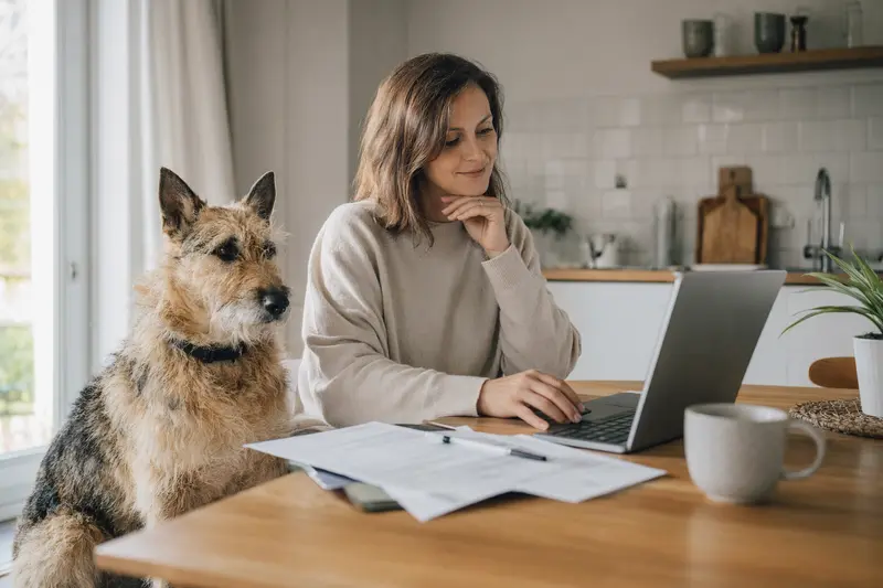 Ein Laekenois Hund sitzt neben seinem Besitzer am Küchentisch, während Versicherungsunterlagen und ein Laptop auf dem Tisch liegen.