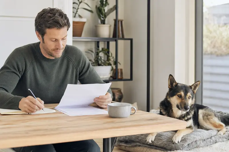 Ein Hundebesitzer sitzt mit einer Tierarztrechnung am Tisch, während sein entspannter Lapinporokoira auf einer Decke liegt und die Situation an eine Hundekrankenversicherung erinnert.