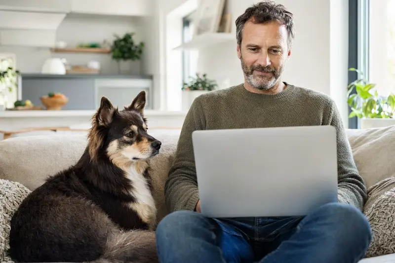 Ein Hundebesitzer sitzt mit Laptop auf dem Sofa und vergleicht Tierversicherungen neben seinem Lapinporokoira.