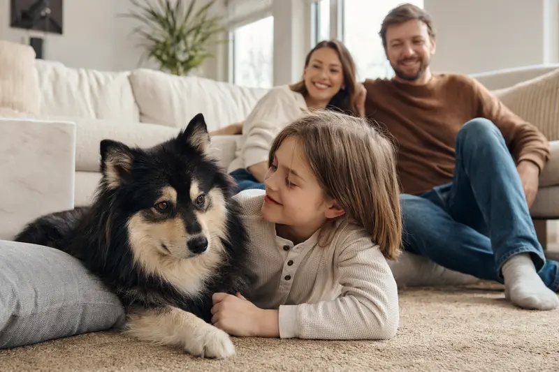 Ein Lappländer Rentierhund liegt entspannt neben einem Kind im Wohnzimmer, während die Eltern im Hintergrund stehen und eine warme Familienatmosphäre entsteht.
