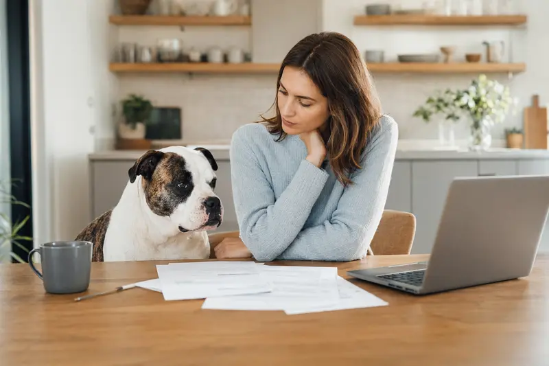 Ein Leavitt Bulldog sitzt entspannt am Küchentisch neben seinem Besitzer, während Versicherungsunterlagen auf dem Tisch liegen.