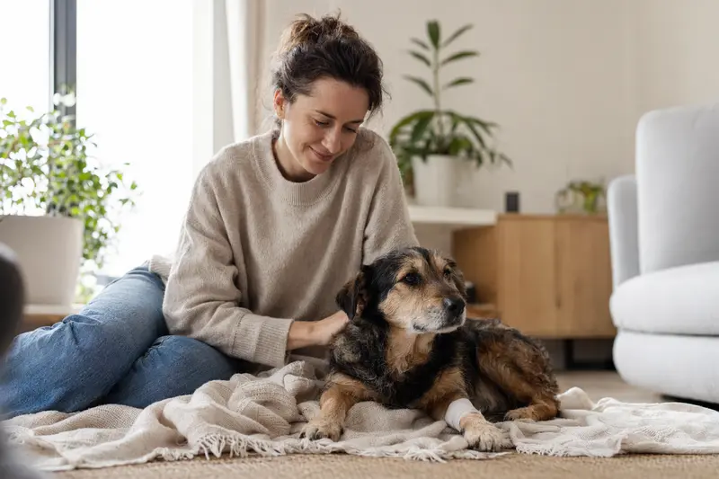 Ein Hund mit leichtem Verband an der Pfote liegt ruhig auf einer Decke, während sein Besitzer neben ihm erleichtert sitzt.