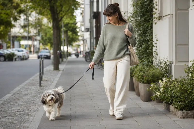Ein Löwchen läuft an der Leine mit seinem Besitzer durch eine moderne Stadtstraße.