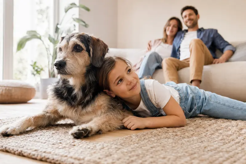 Ein freundlicher Longdog liegt entspannt neben einem Kind im hellen Wohnzimmer, während die Eltern im Hintergrund stehen und eine sichere, warme Familienatmosphäre vermitteln.