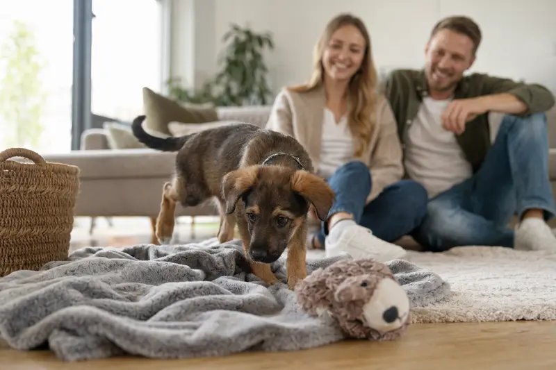Ein neugieriger Longdog Welpe erkundet seine neue Umgebung mit liebevoller Familie im Hintergrund.