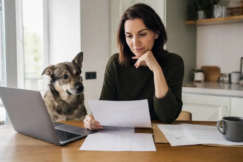 Ein Lupo Italiano Hund sitzt ruhig neben seinem Besitzer am Küchentisch mit Versicherungsunterlagen und einem Laptop.