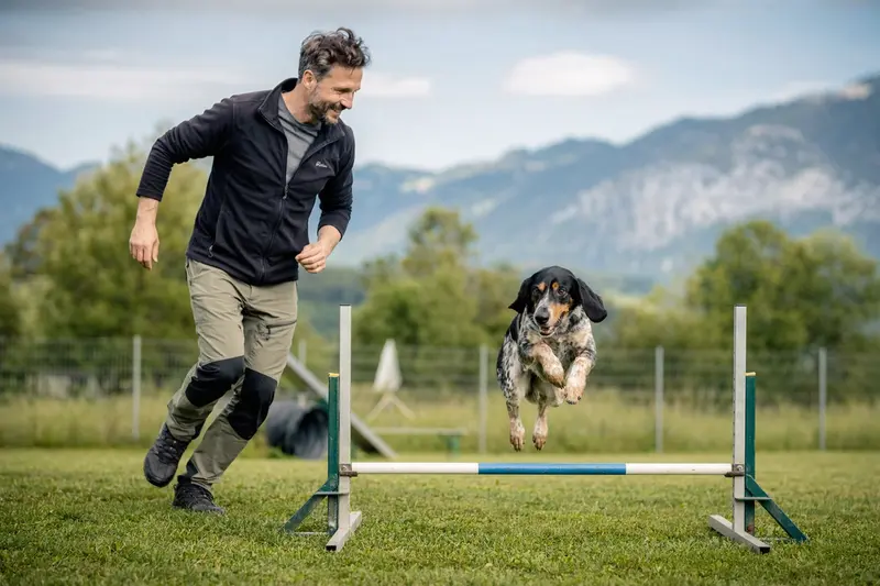 Ein Luzerner Niederlaufhund springt beim Training mit seinem Besitzer über eine kleine Hürde auf dem Hundeplatz.