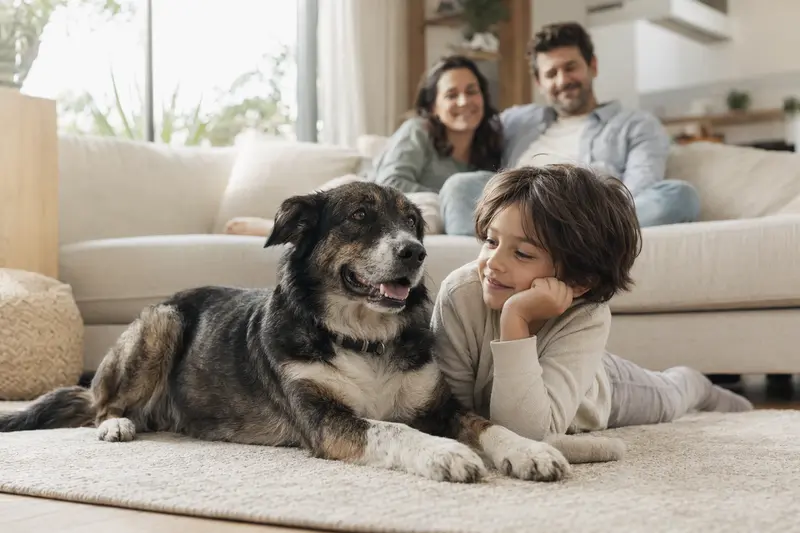 Ein freundlicher Maneto Hund liegt entspannt neben einem Kind im hellen Wohnzimmer und vermittelt eine sichere, familiäre Atmosphäre.