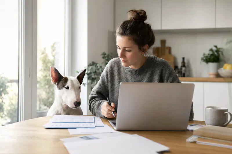 Ein Miniaturbullterrier sitzt entspannt neben seinem Besitzer am Küchentisch, auf dem Versicherungsunterlagen und ein Laptop liegen.