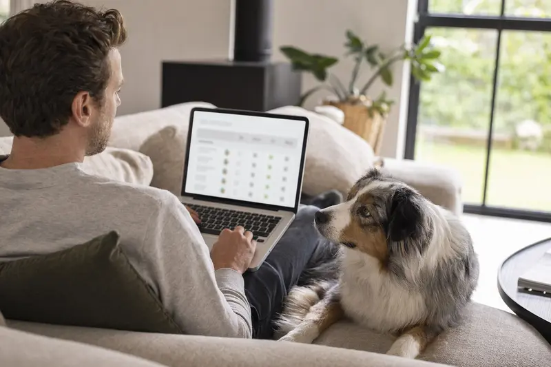 Ein Besitzer arbeitet mit einem Laptop auf dem Sofa, während ein Miniature American Shepherd Hund neben ihm sitzt.