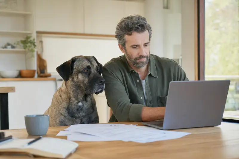 Ein Molosser sitzt ruhig neben seinem Besitzer am Küchentisch mit Versicherungsunterlagen und einem Laptop zur Hundeversicherung.