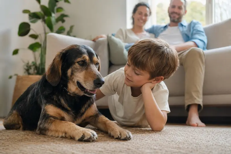 Ein Montenegrinischer Gebirgslaufhund liegt entspannt neben einem Kind im Wohnzimmer, während die Eltern im Hintergrund eine sichere Familienatmosphäre schaffen.