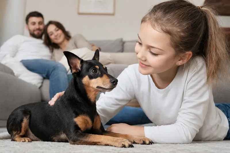 Ein Moskauer Zwergterrier liegt entspannt neben einem Kind im Wohnzimmer in einer sicheren Familienatmosphäre.
